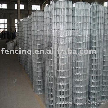 Welded Wire Mesh